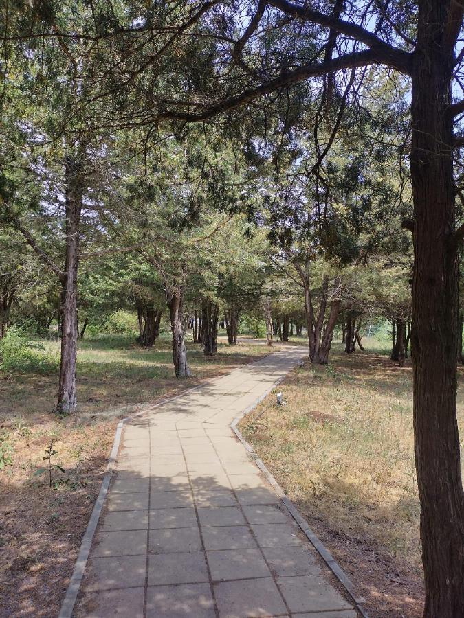 Blaxy Resort Stefi Cu Acces La Piscine Gratuit Douăzeci şi Trei August Esterno foto